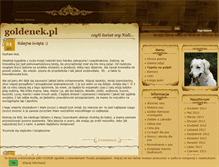 Tablet Screenshot of goldenek.pl